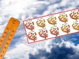 IMGW ostrzega przed burzami i upałami w Polsce