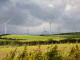 Rekordowy udział energii wiatrowej w brytyjskim miksie energetycznym