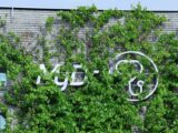 Wykradziono dane medyczne 19 mln Polaków: Ministerstwo podjęło działania