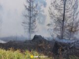 Strażacy walczą z pożarem w słowackich Tatrach