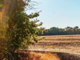 Weekend full of contrasts: Sunshine, fog, and rain in Poland