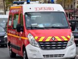 Pierwszy przypadek wirusa Shamondy u człowieka we Francji kończy się śmiercią