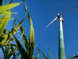 Polska firma Elektrotim zbuduje magazyny energii przy farmach wiatrowych PGE