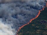 Rekordowe finansowanie projektów klimatycznych przez Zielony Fundusz Klimatyczny
