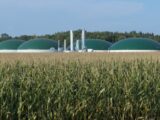 Biometan w Polsce: Potencjał i Wyzwania na Horyzoncie