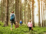 Zakazy i ograniczenia dotyczące zbierania chronionych grzybów w Polsce